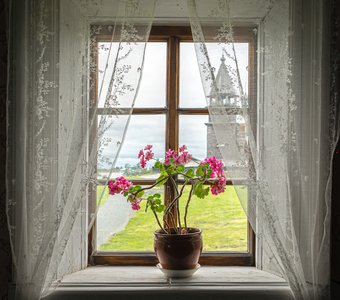 Окно в прошлое