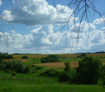 Тульские просторы