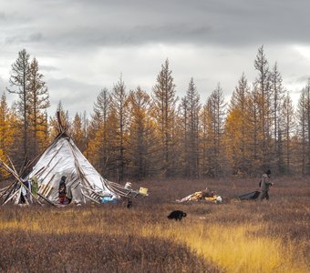 Осень в Заполярье