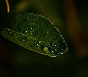 После дождя