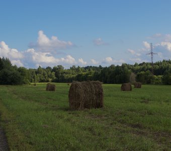 Август