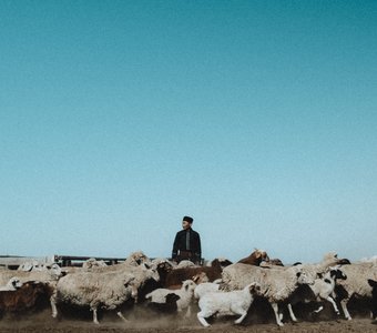 Эрдни. Хозяин степи