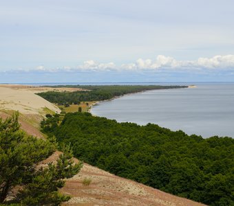 Куршская коса