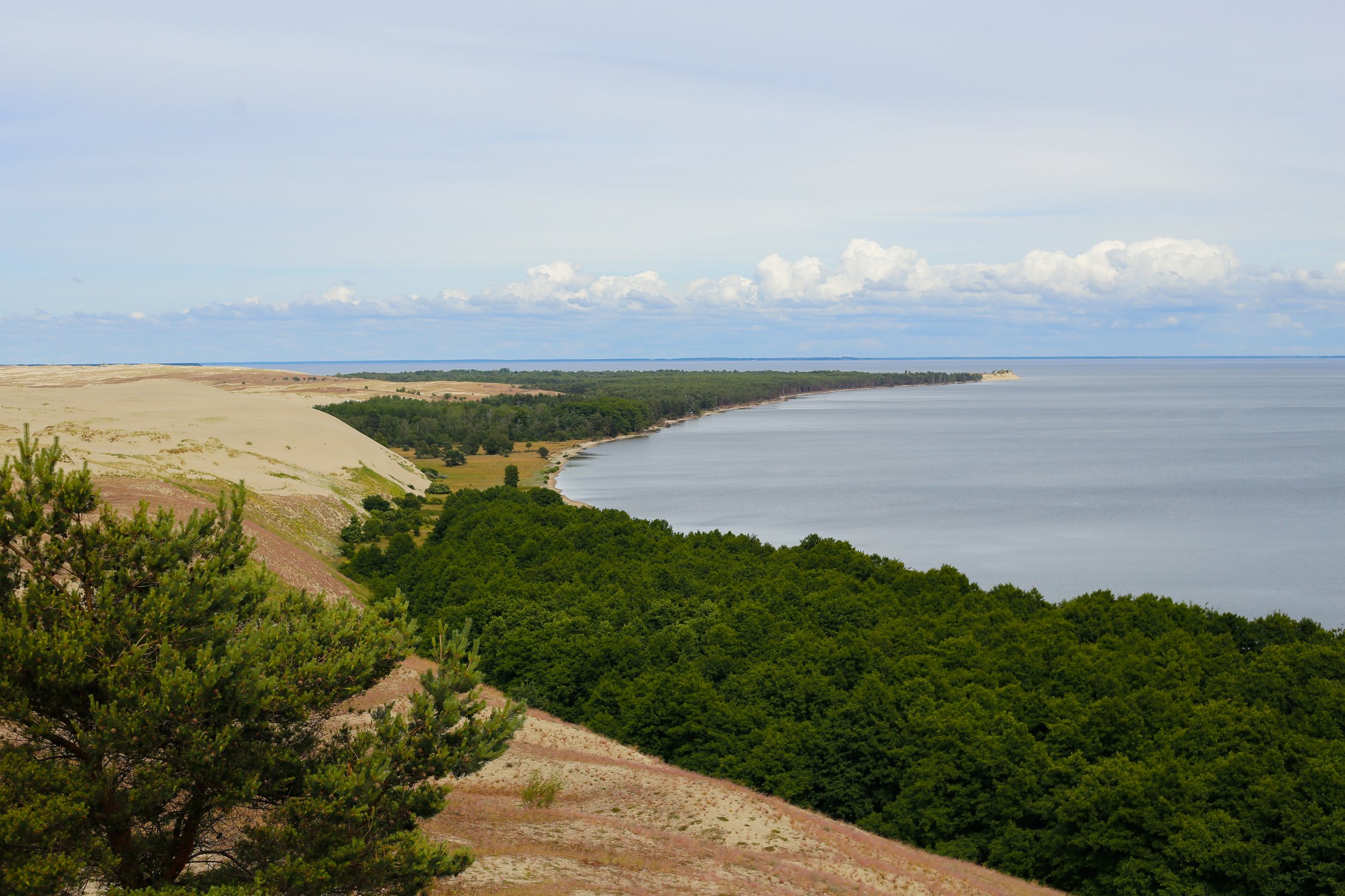 Куршская коса