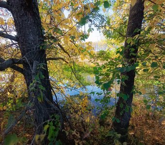 Возле речки