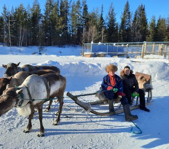 В саамской деревне