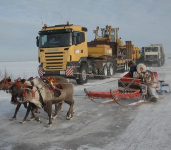 А олени лучше-2