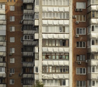 Муравейник