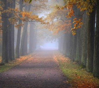 в осеннем парке...