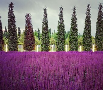 Краснодарские краски