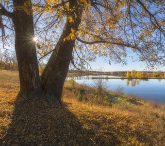 Золотая осень в Верхосунье