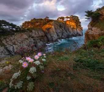 Бухта Орлинка