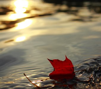 Прощальный шепот