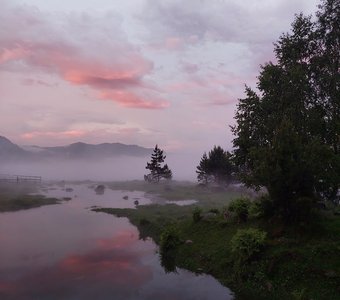 Прителецкая тайга после грозы