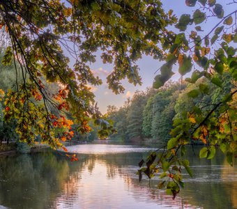 Осеннее утро