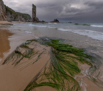 Меч Самурая