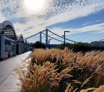 Солнечный ветер