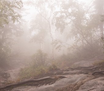 Туманный Таганай