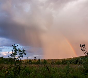 Повиснул дождь, как легкий дым