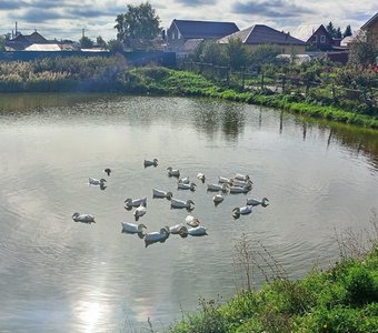 Водяное солнце