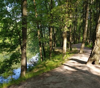 Летний день. Остафьево