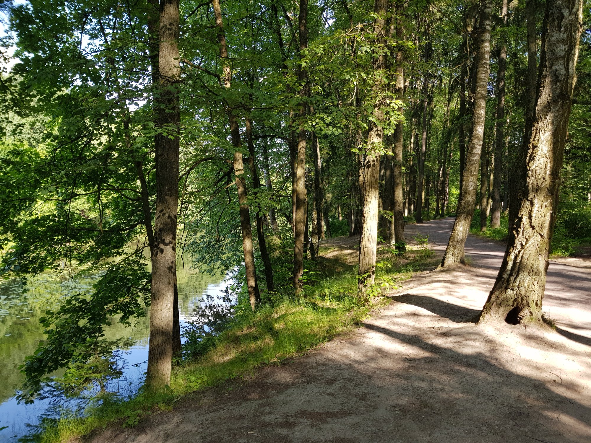 Летний день. Остафьево