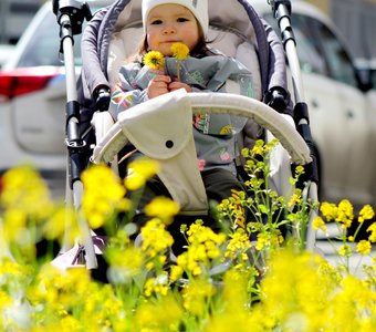 Солнечный цвет