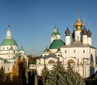 Спасо-Яковлевский Димитриев Мужской Монастырь