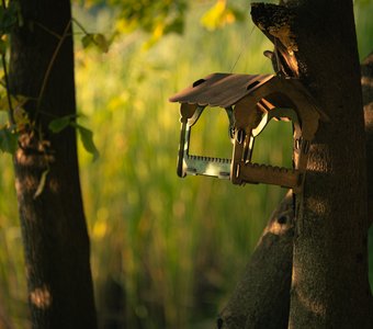 У каждого должен быть свой дом