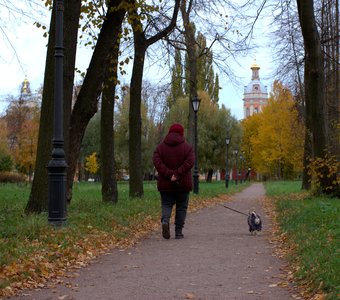 Мудрость и верность