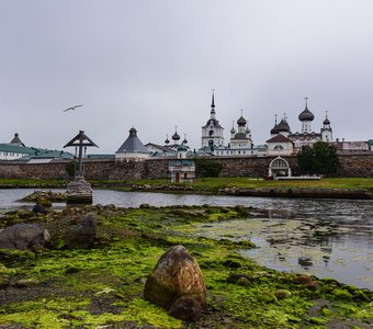 Вид Соловецкого монастыря