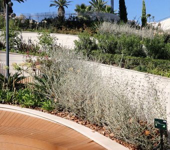 Парк Ривьера