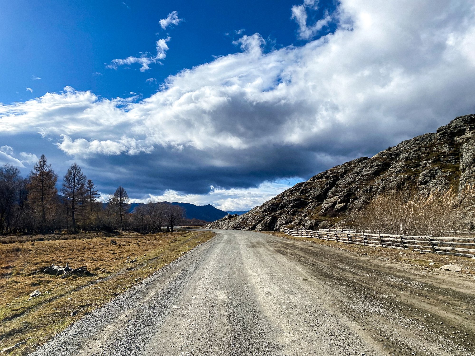 Дорога под небом Алтая
