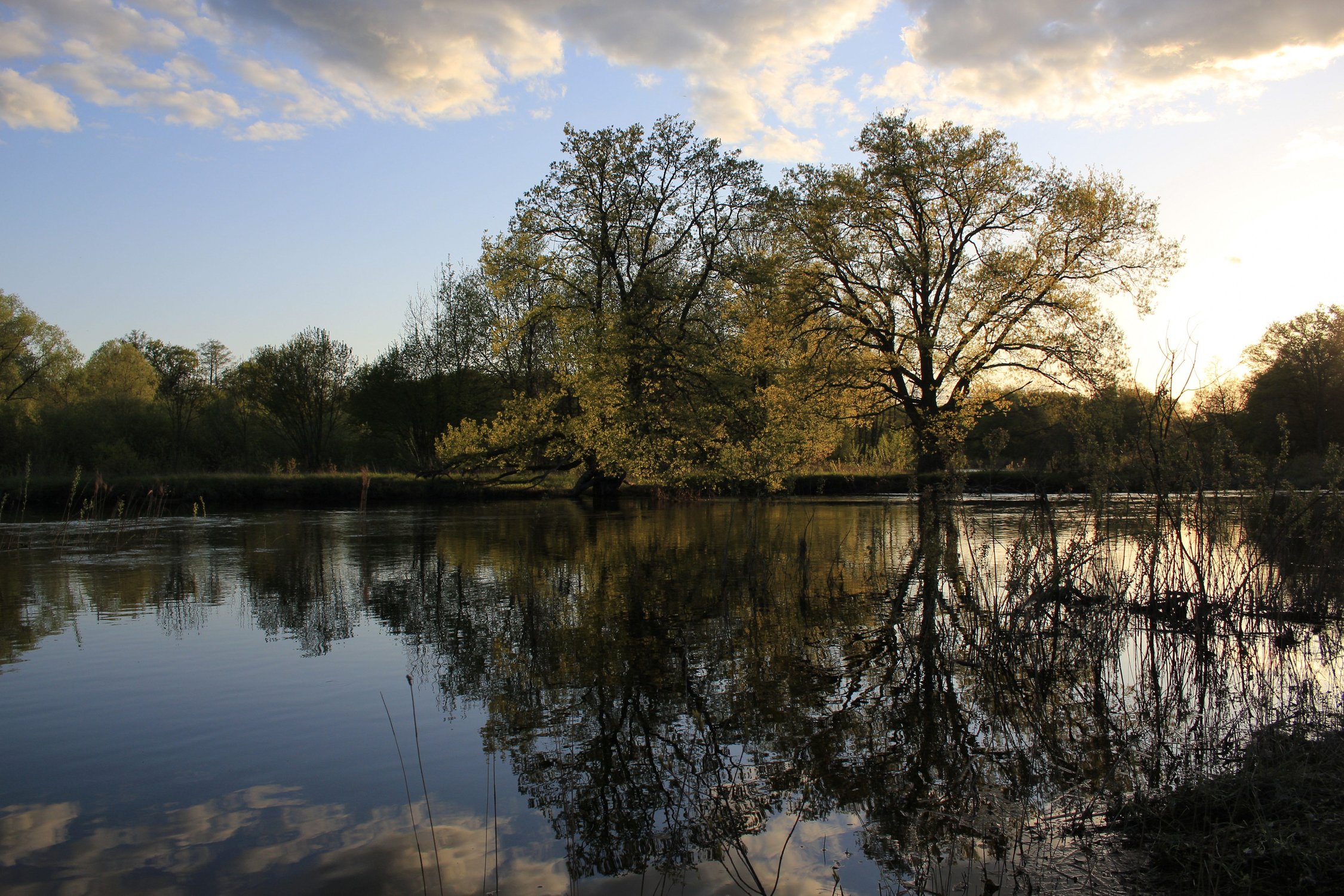 Заповедный закат