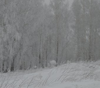 Сибирские морозы