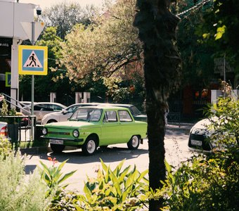 Октябрь в Сочи