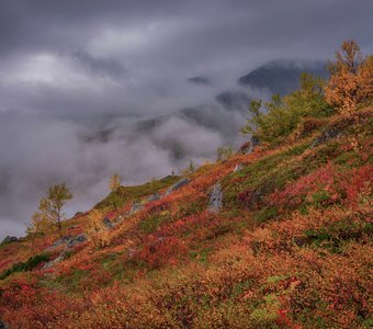 В облаках