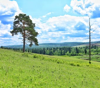 На малой родине