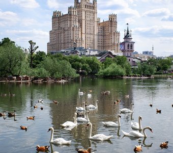 Сказка в городе