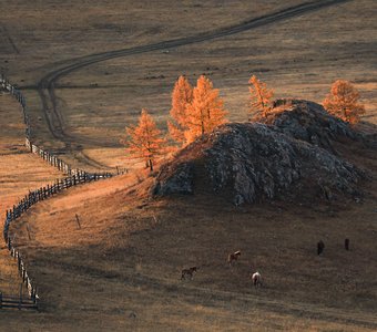 Утро в Усть-Кане.