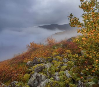 В облаках