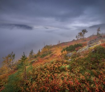 В облаках