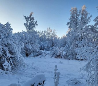 Зимний пейзаж