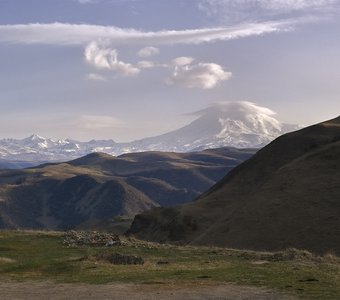 Родные просторы