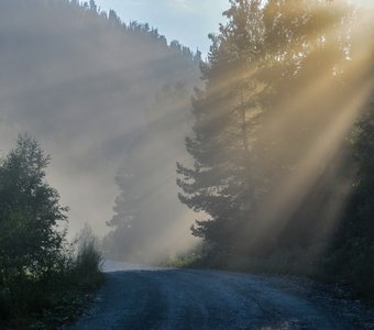 Лучи