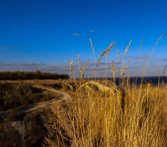 Умиротворение