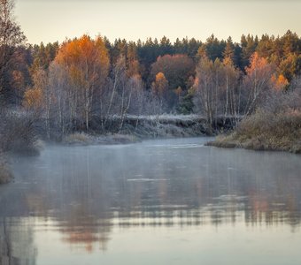 Догорали свечи берез