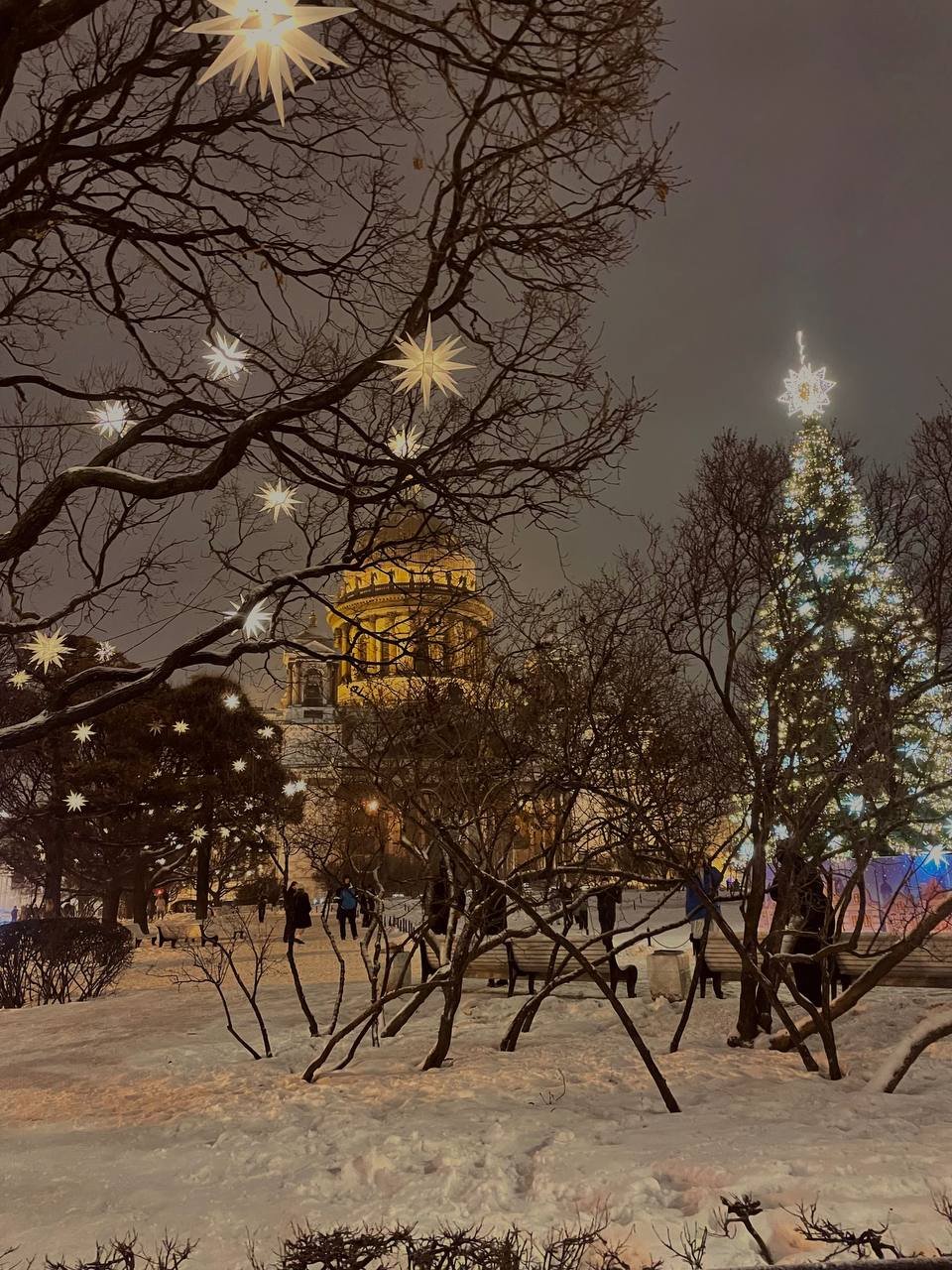 Звезды Петербурга