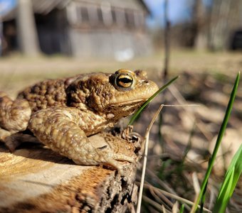 Самая обаятельная и привлекательная