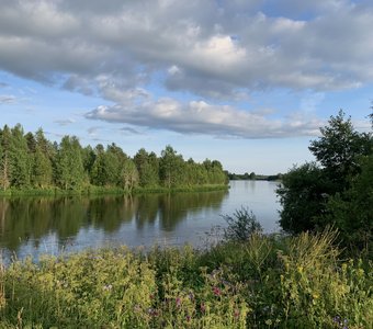 Летняя идиллия